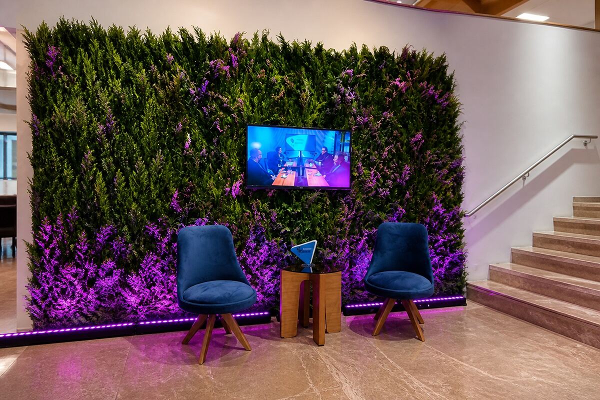 Parede verde com iluminação, ambiente corporativo Tutoia Flores