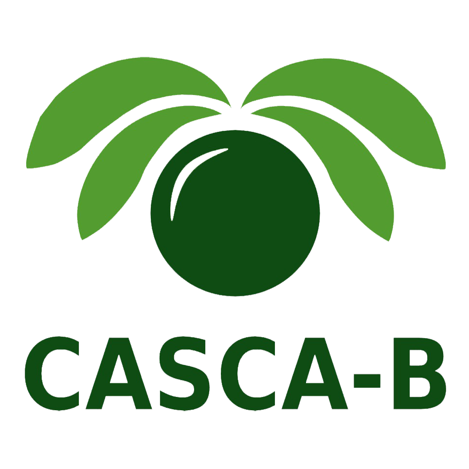Fabrica Casca B