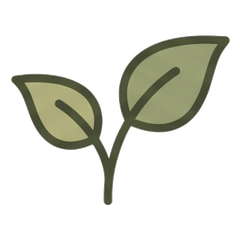 Planta