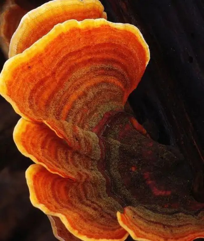 Todo el día