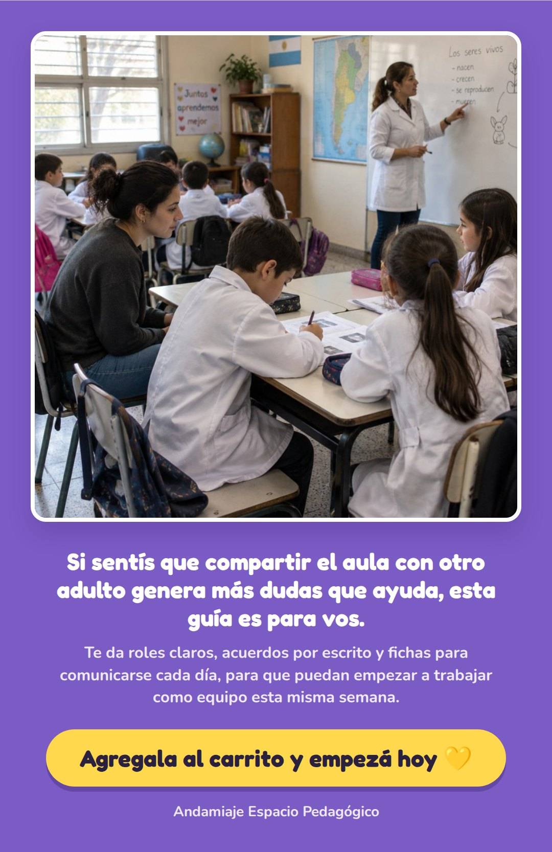 PAREJA PEDAGÓGICA: DOCENTE Y AT EN EL AULA