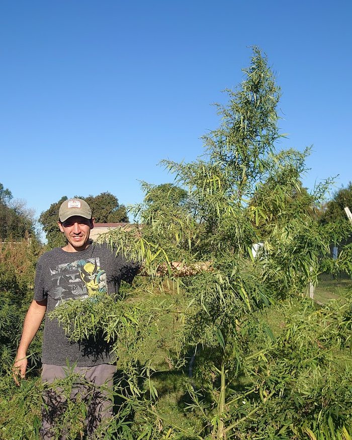 Ing. Agr. Agustín D’Olivo en el cultivo