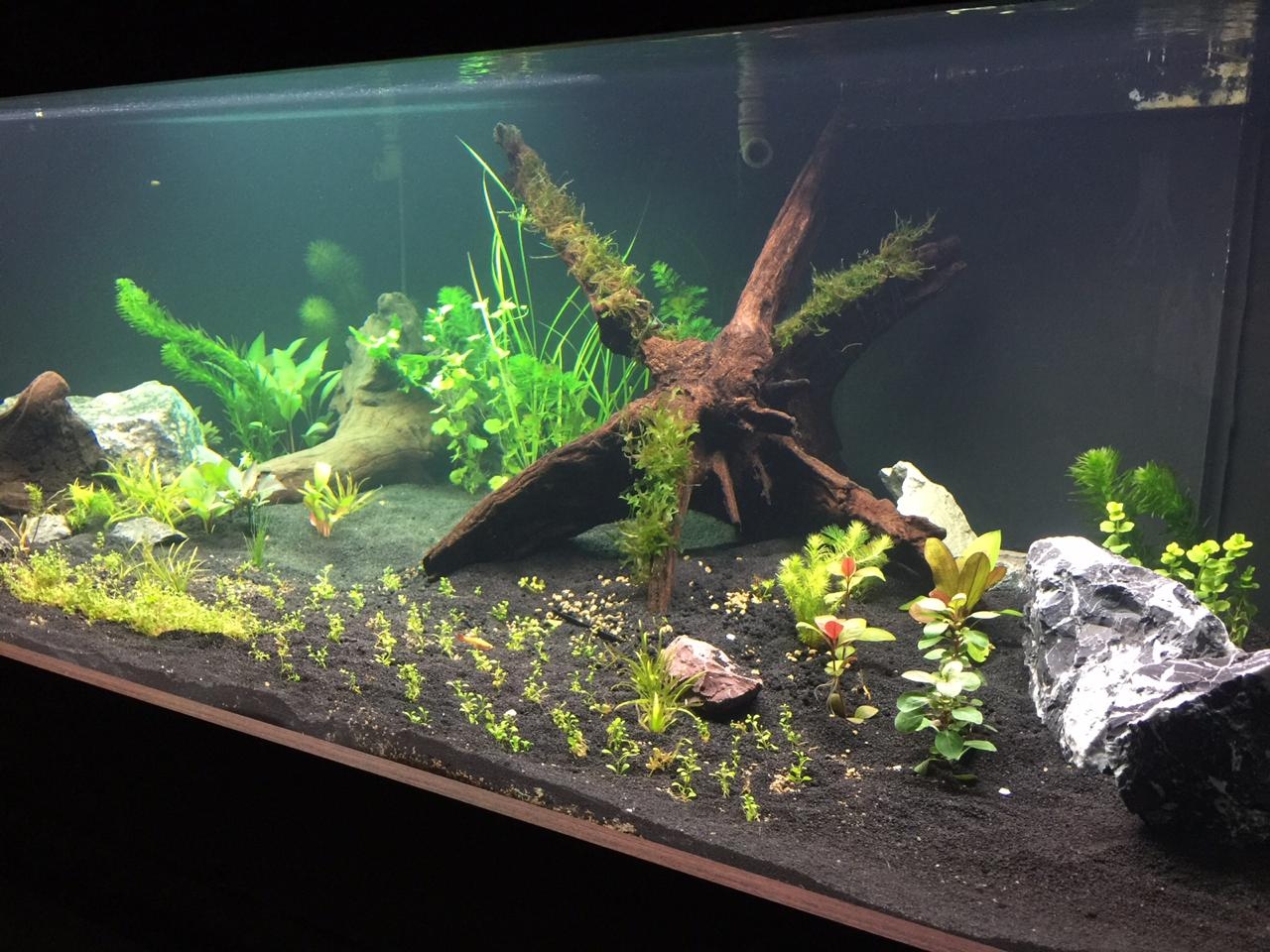 Iluminação T5