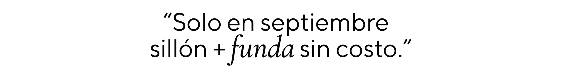 Banner de la categoría Sillones