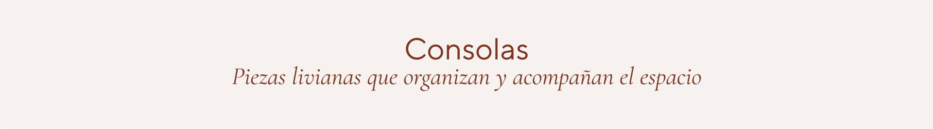 Banner de la categoría Consolas