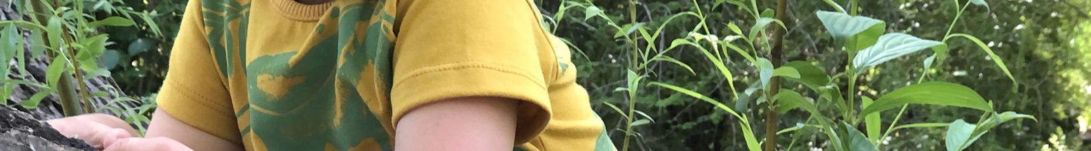 Banner de la categoría Remeras