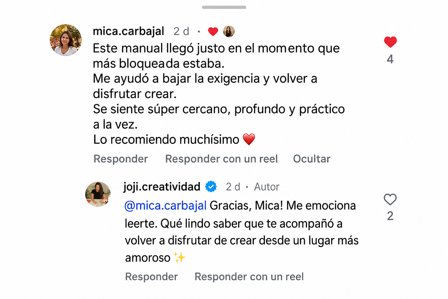 Rese&ntilde;a real de Instagram 1