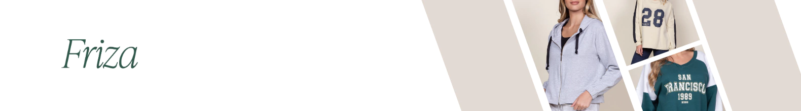 Banner de la categoría FRIZA