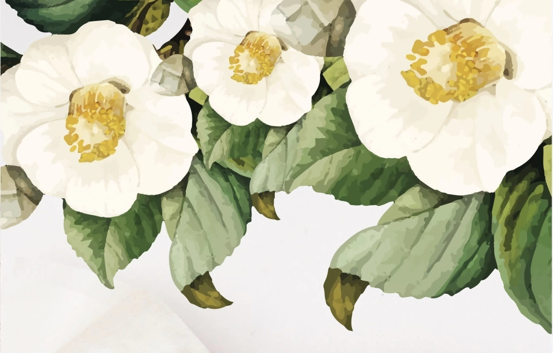Banner de la categoría LIVE FLORES
