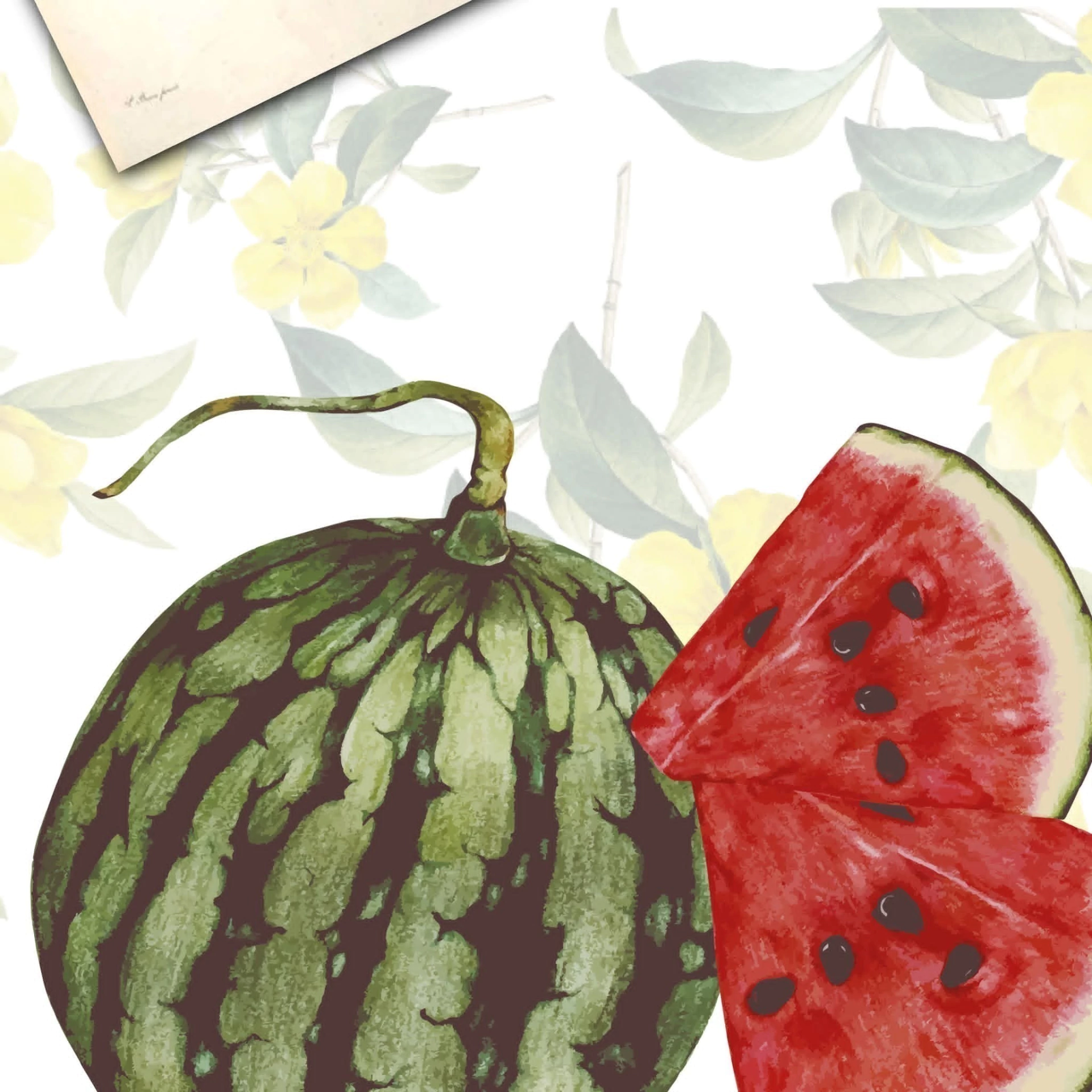 Banner de la categoría FRUTOS DE AGUA