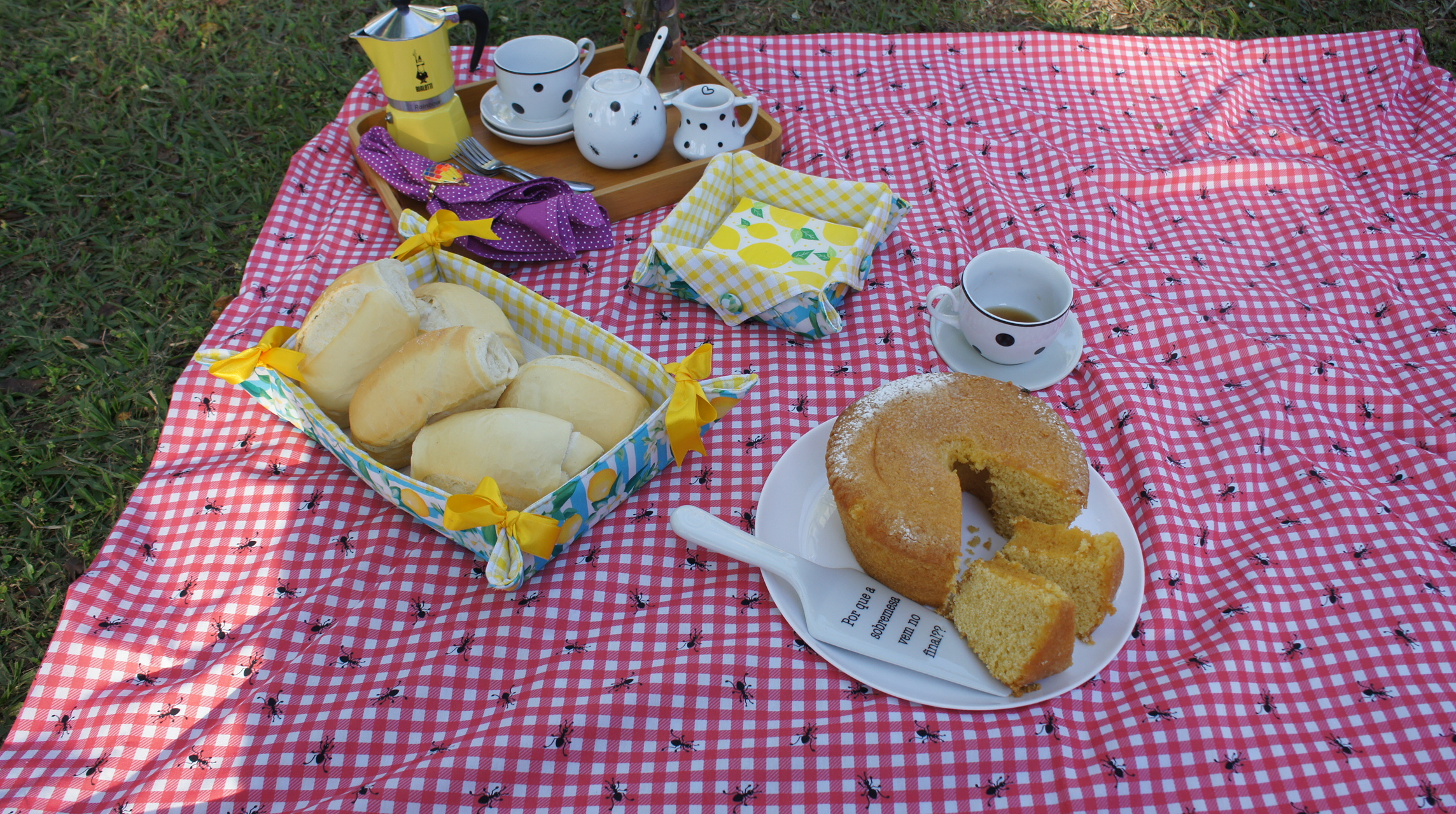 Piquenique visto de cima, com cesto de p&atilde;es, bolo, porta-guardanapo de lim&atilde;o e bandeja com jogo de ch&aacute; sobre toalha xadrez vermelha e branca