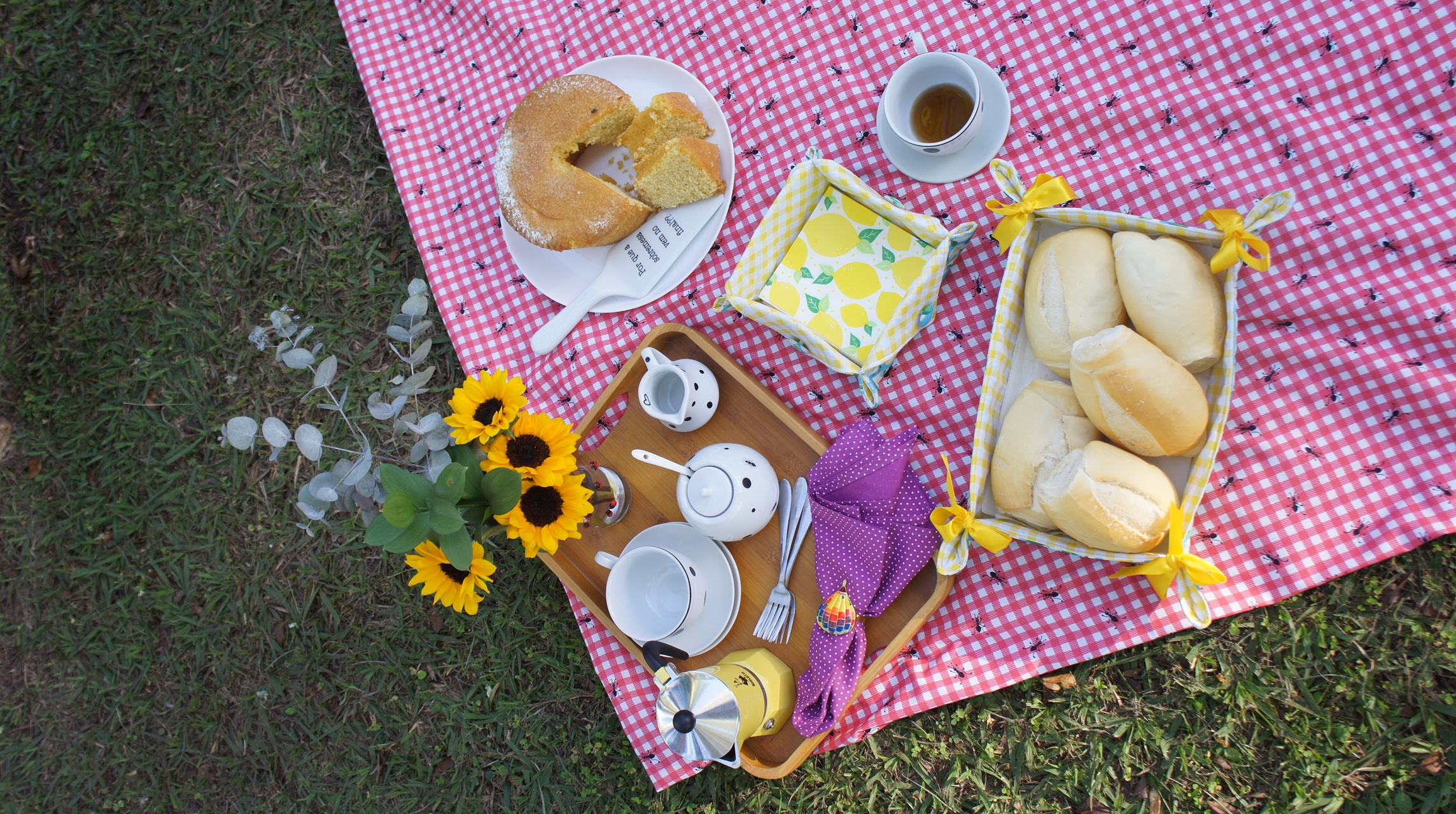 Mesa de picnic Jardim Brasileiro Casa da Caubi