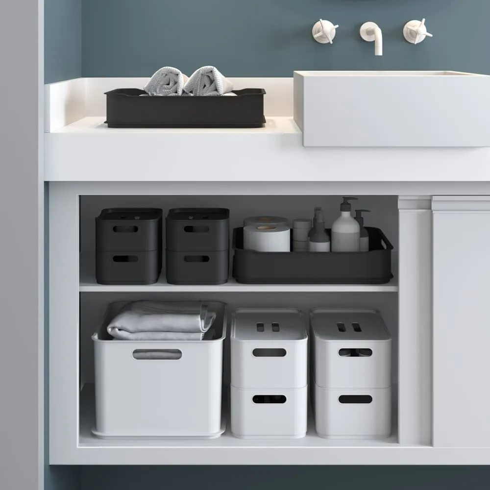 Caixa Organizadora Com Tampa Fit Grande