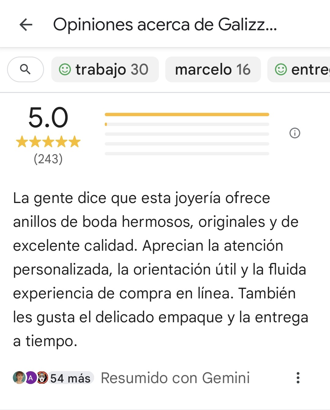 Opiniones sobre Galizzi y Schneider alianzas en Google Maps
