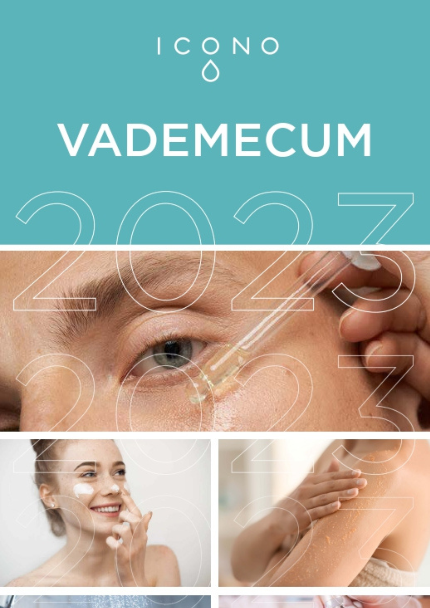 Vademecum Icono 2023