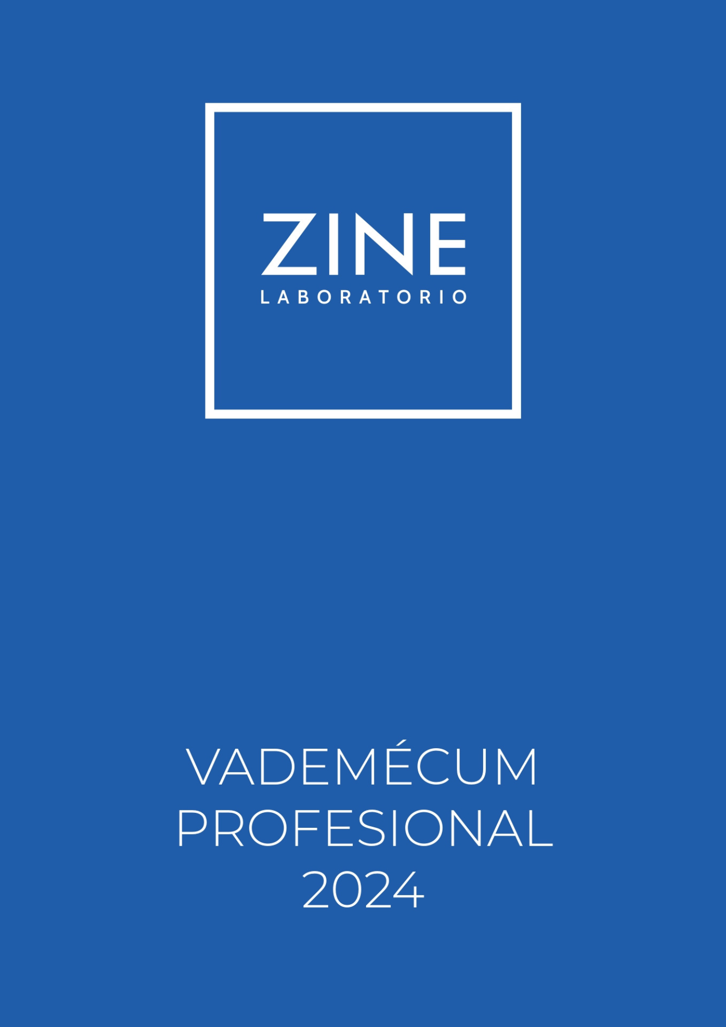 Vademecum Zine 2024