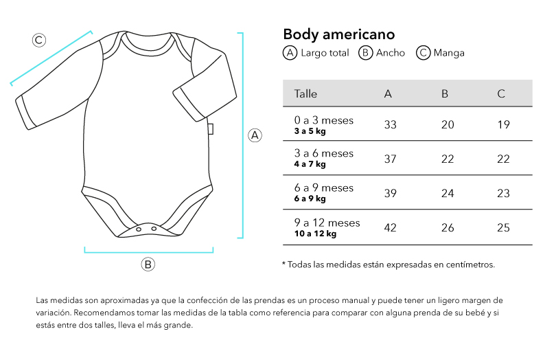 Verifique la URL ingresada.