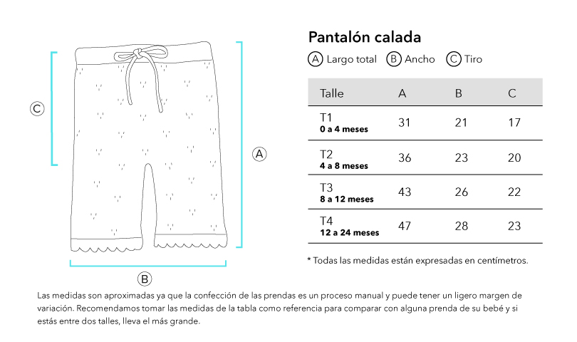 Verifique la URL ingresada.