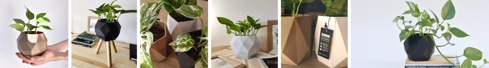 Banner de la categoría Macetas y contendores