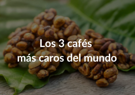 Los 3 caf&eacute;s m&aacute;s caros del mundo