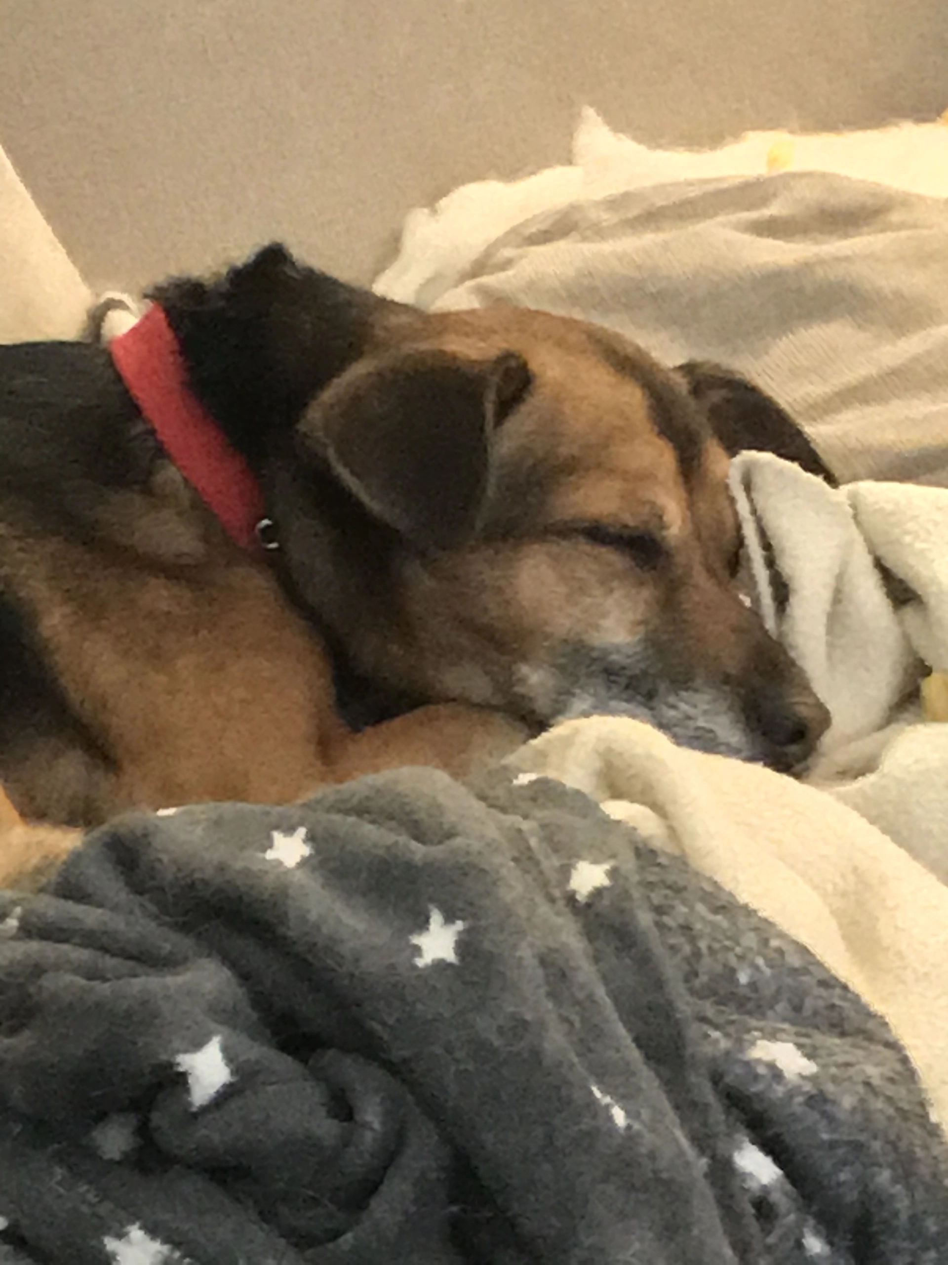 Banner de la categoría gg